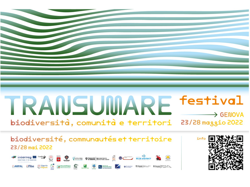 Transumare Festival