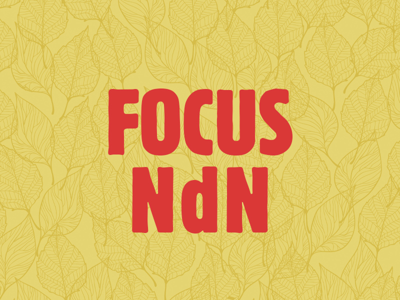Focus NdN