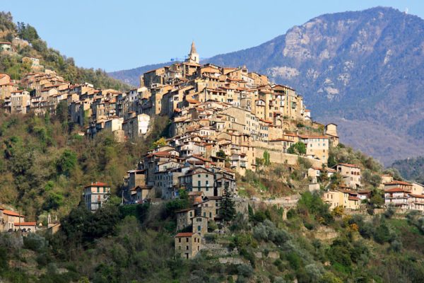 APRICALE