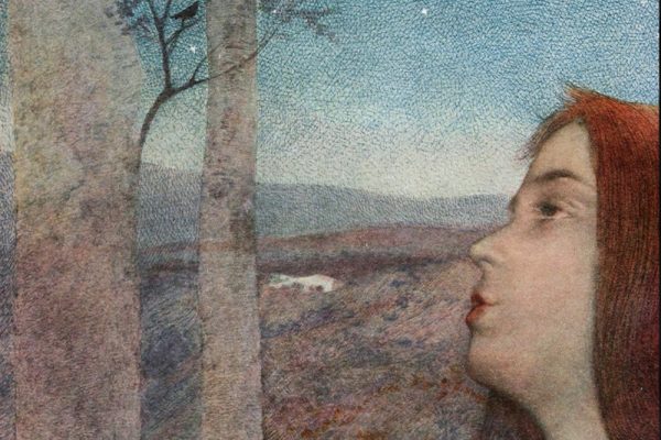 illustrazione donna e albero