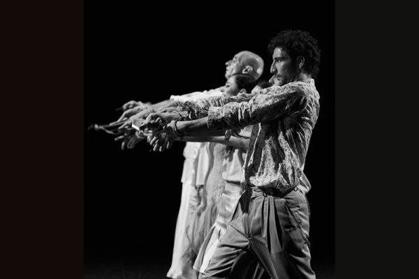 CHI SOPRAVVIVE... pg Gaia Rocca